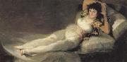 Francisco de Goya, The Maja Clothed